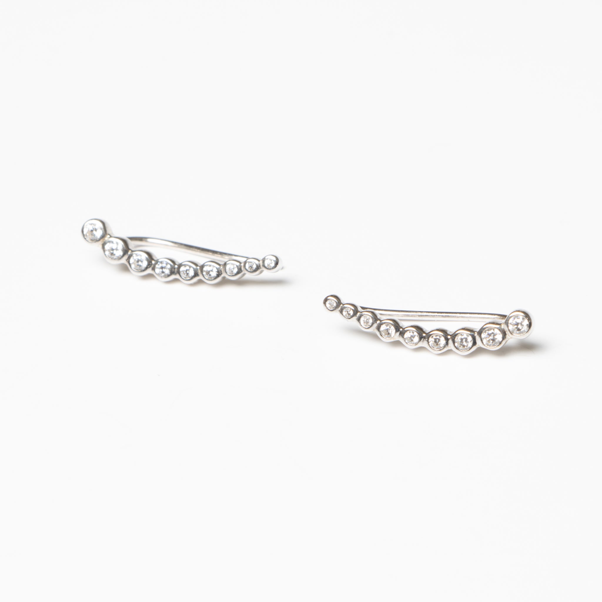 Wings Earrings - Silver
